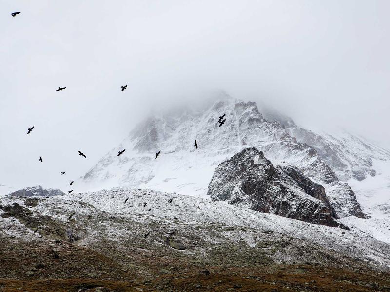 sudoku hint feature screenshot 3